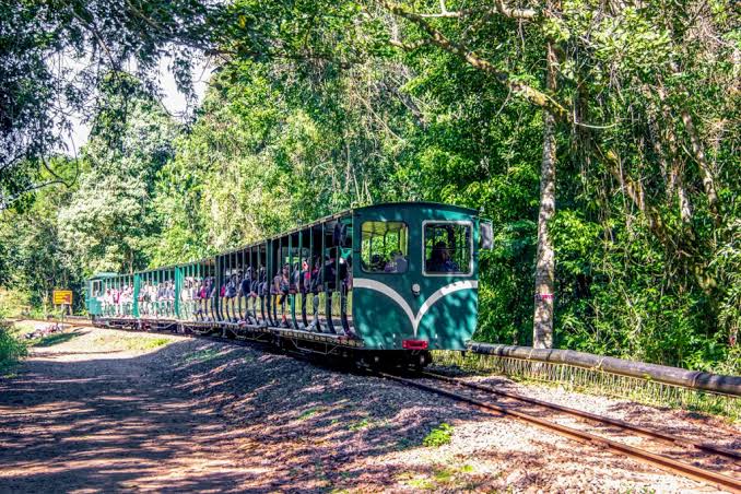 Tren Ecológico de la Selva en funcionamiento dentro del Parque Nacional Iguazú